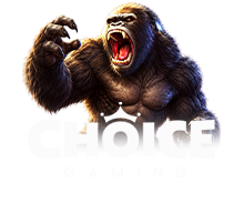 Online Choice